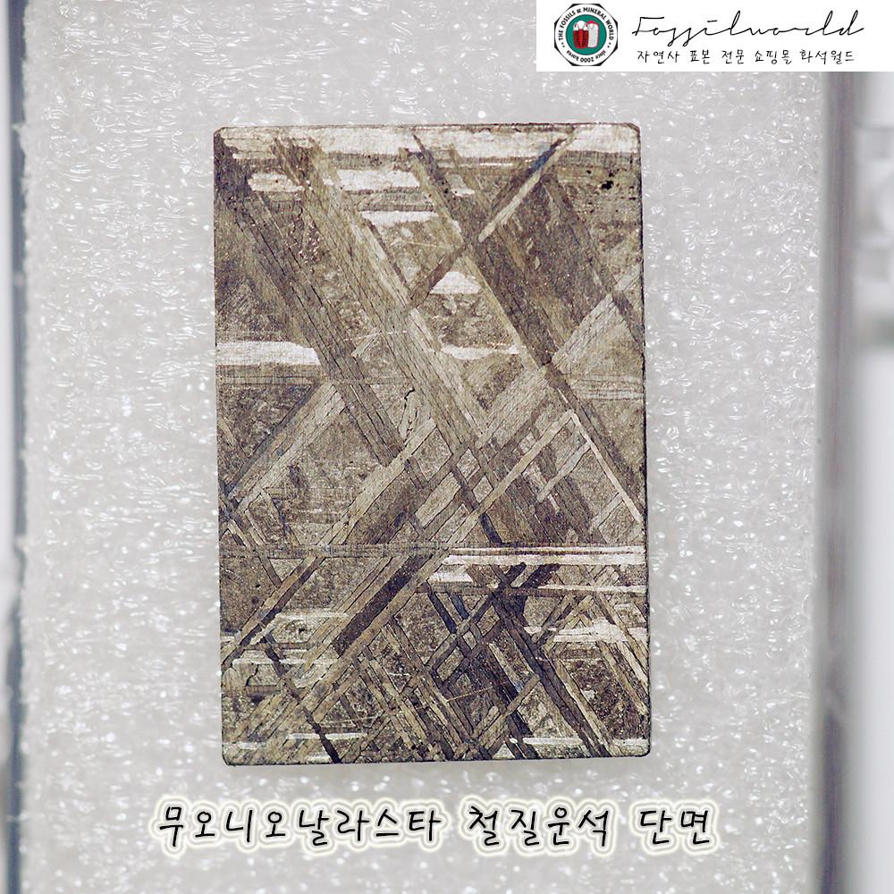 무오니오날라스타 철운석 단면