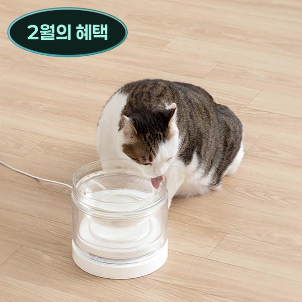 스마트 유리수반 웰리(강아지, 고양이 수반)