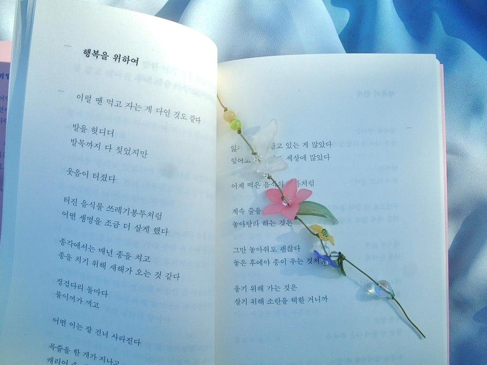 들판 끈갈피