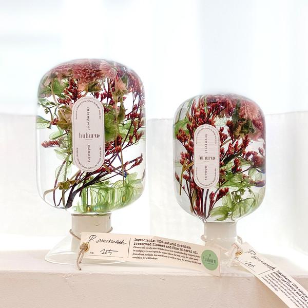 P.amaranth 천일홍