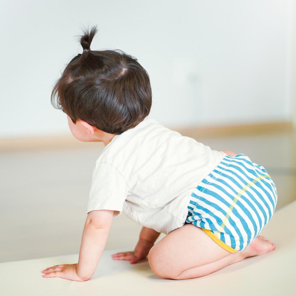 첨이첨이 유아 배변훈련팬티