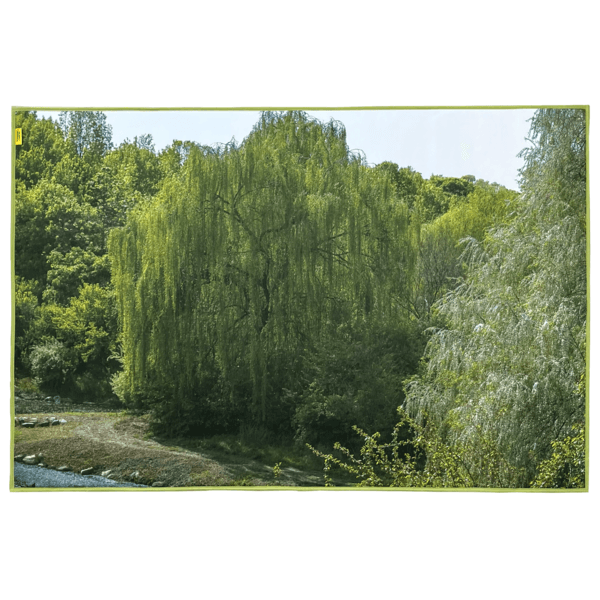 Willow scene rug