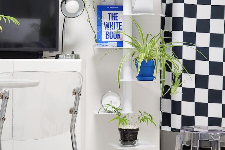 엘라인 회전식 각도조절 북선반 북스탠드 식물선반 버터컬러 출시