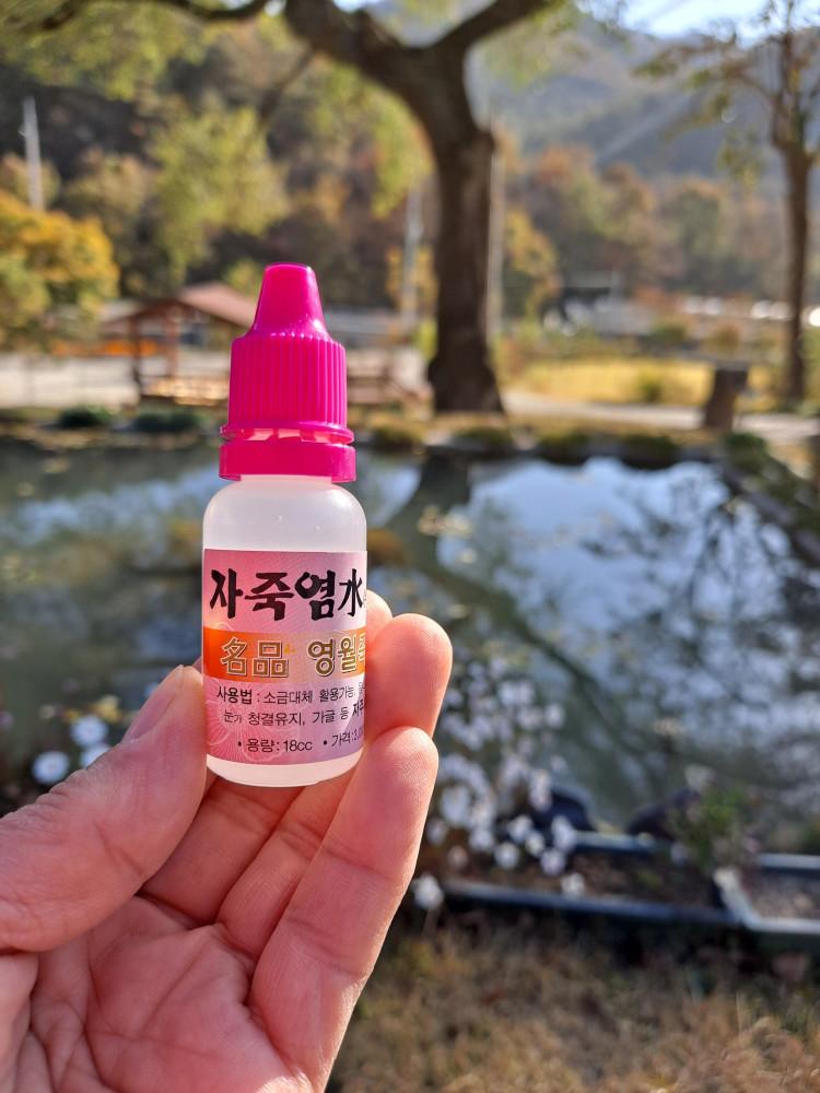 금시조 영월 자죽염수(18CCX1개입) /특허받은 금시조 9회 자죽염 사용 [원산지:국산(강원도 영월군)]