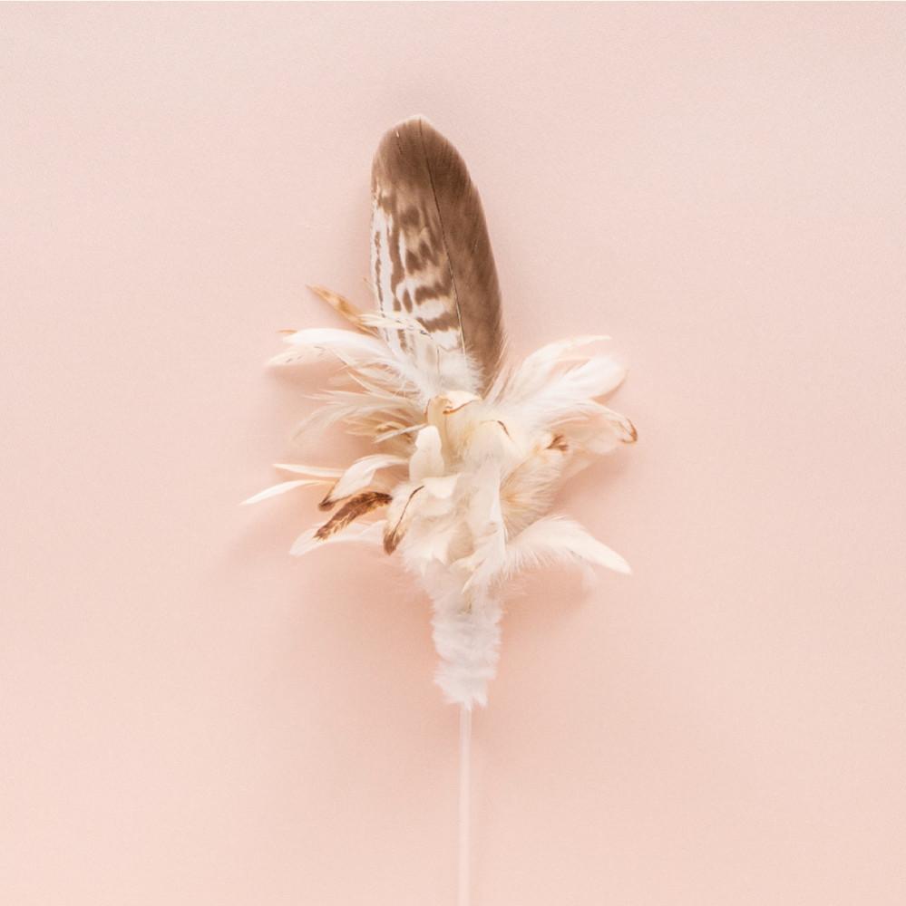 쥬아펫 너구리꿩 막대장난감