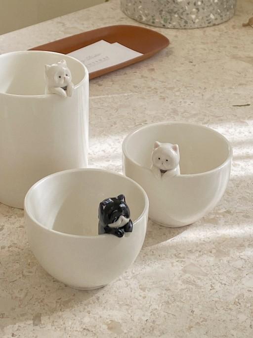 사실 안 억울한 고앵이🐱*3주이상