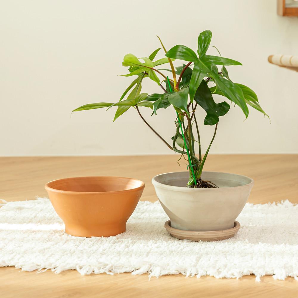 데로마 테라코타 이태리토분 빈티지 대형 인테리어화분 분갈이화분 쵸톨라리스시아 23cm