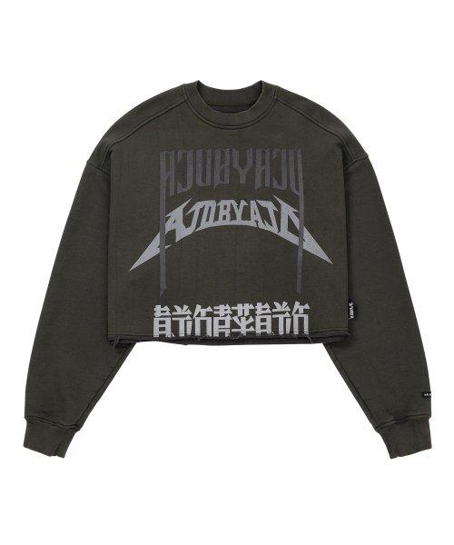 Arch Logo Cropped Sweatshirt [CHARCOAL]