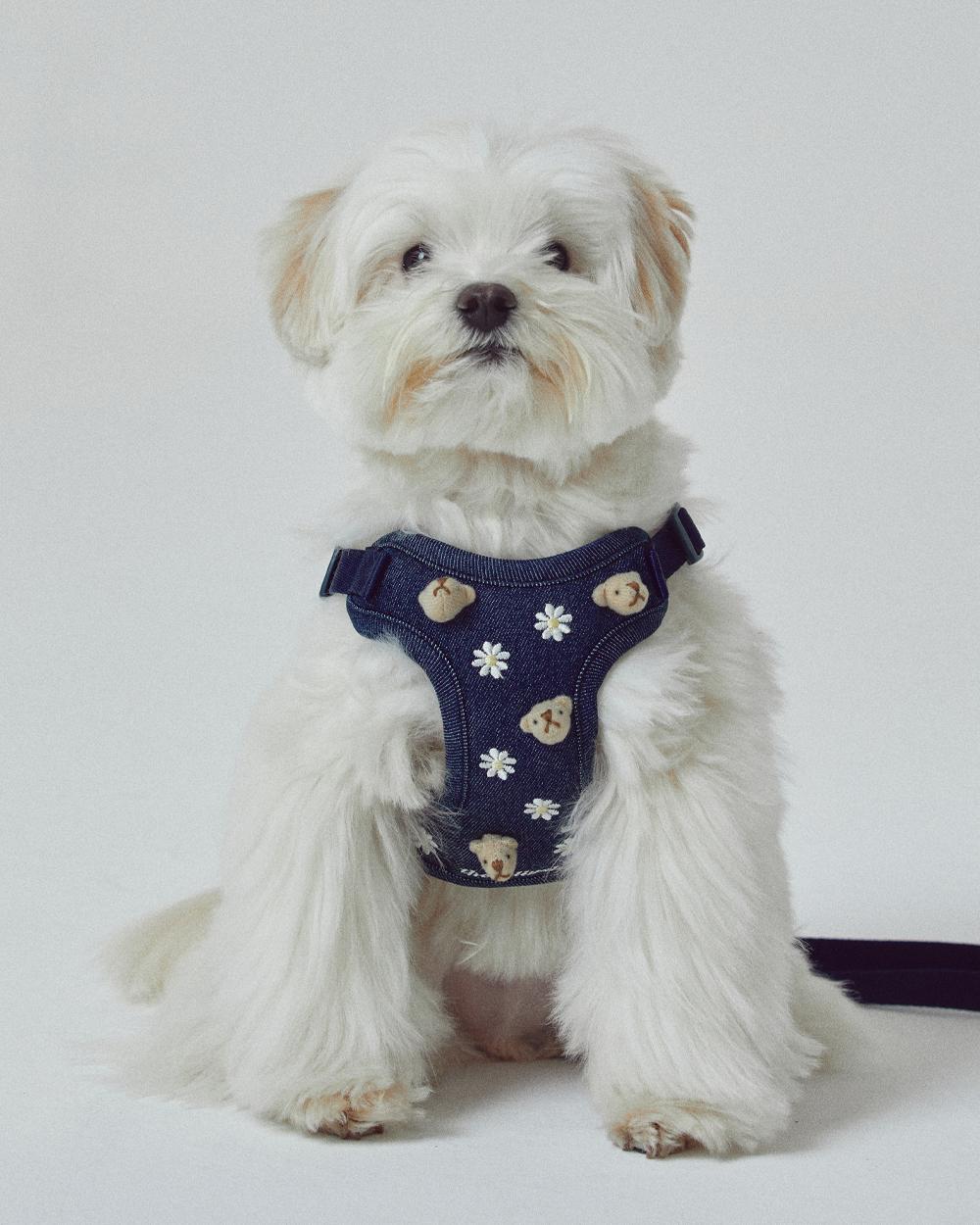 Denny bear cushioning X harness (Blue)