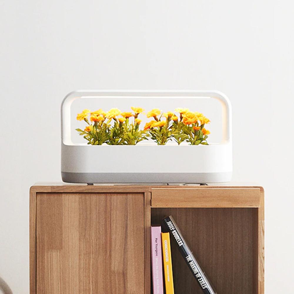 LG 틔운 미니 가정용 식물재배기  플랜테리어 반려식물 스마트팜 홈가드닝 수경재배기 풀멍