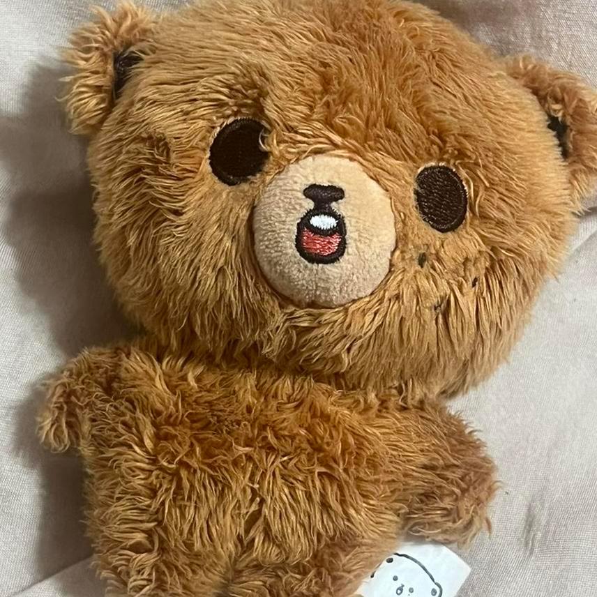 해찬 10cm 인형 이곰도