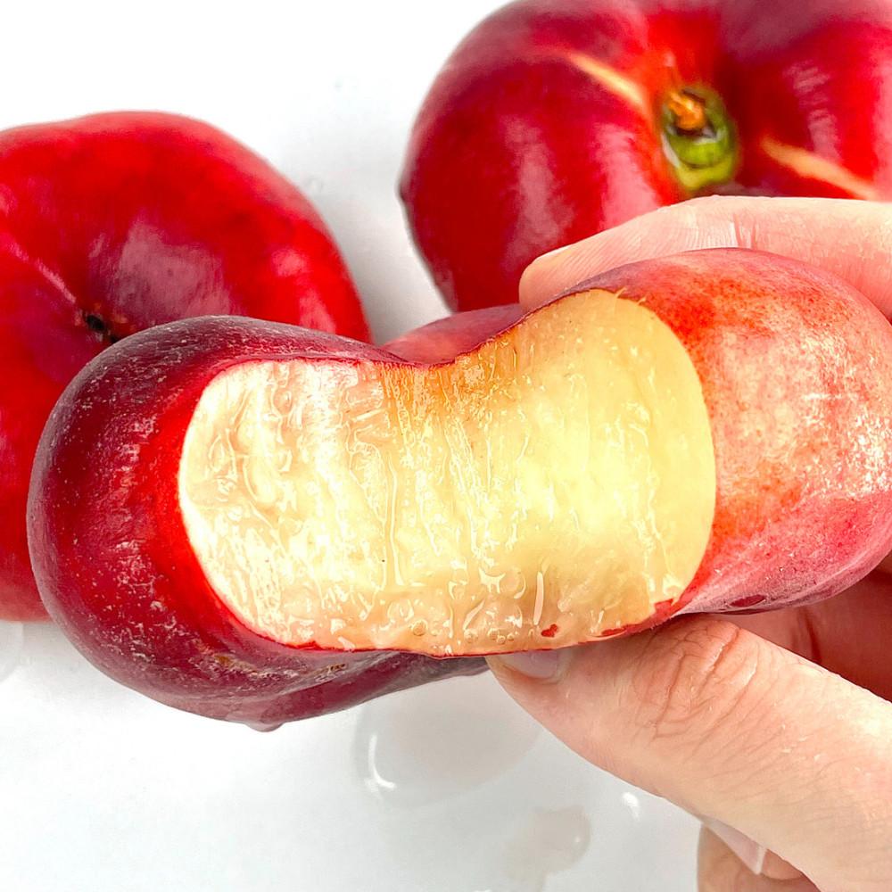 근기네 납작복숭아 백도 황도 대극천 천도 마도카 거반도 딱딱이 말랑이 신비복숭아