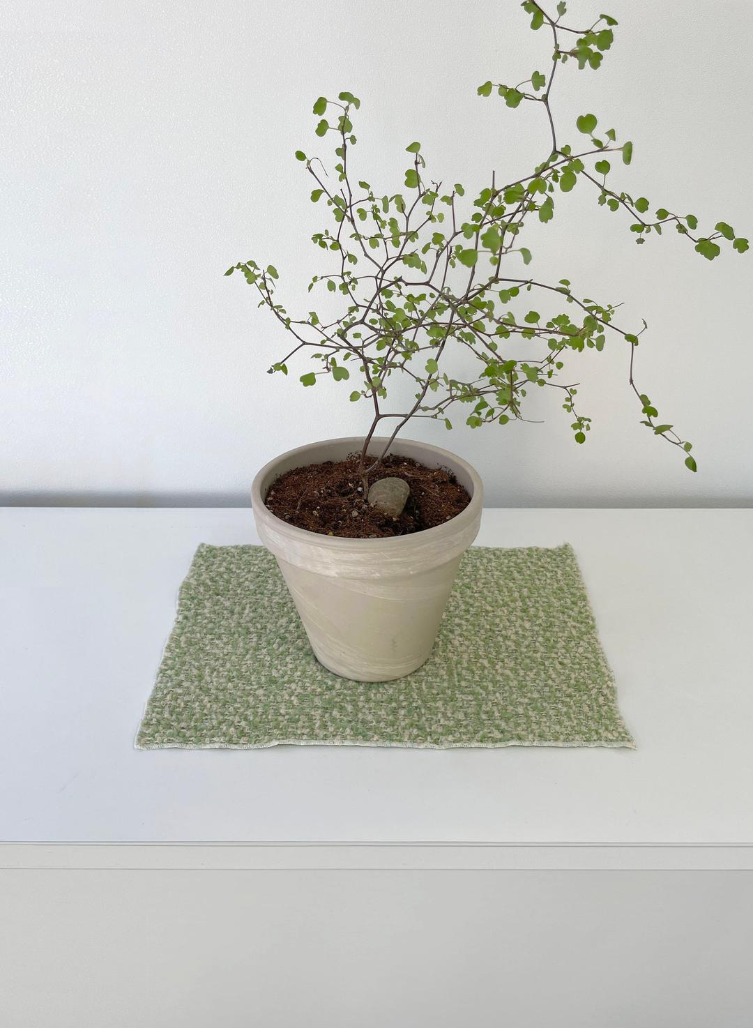 Boucle objet mat - green