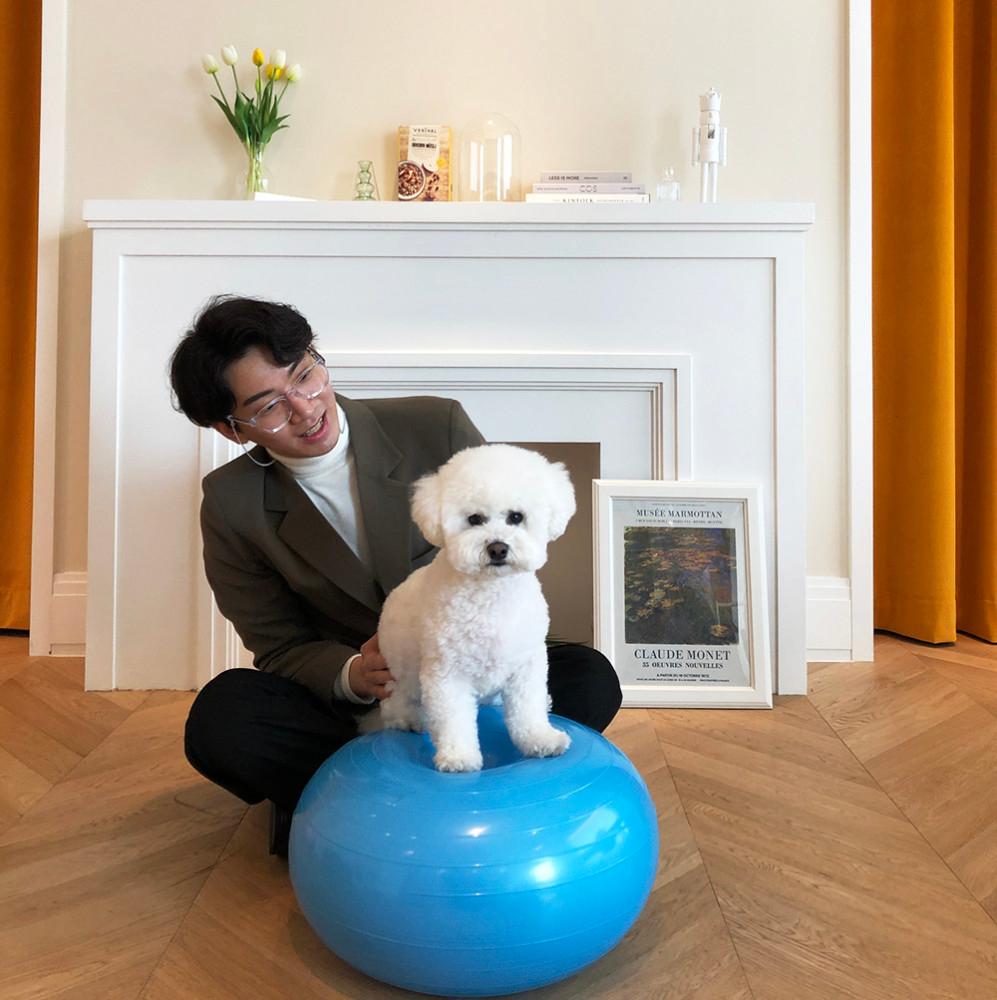 강아지 슬개골 탈구 예방 애견 코어 운동기구 강아지 짐볼