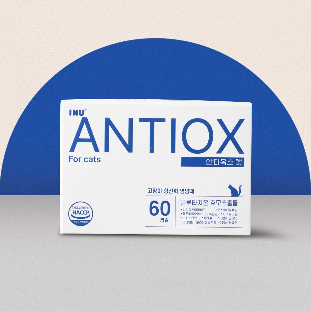 아이누 안티옥스 캣 60캡슐 고양이 항산화제 치매 노묘 영양제