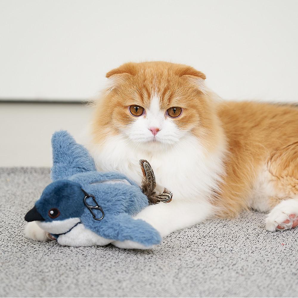 베리앤펫 액션 버드 박새 고양이 강아지 캣닢 자동 장난감 새 분리불안 노즈워크