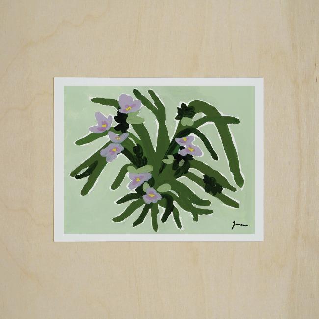 엽서 - 자주달개비