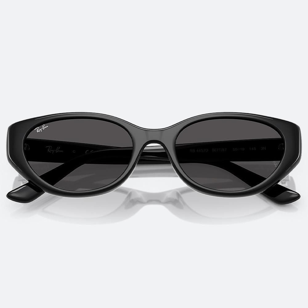 레이벤 RAYBAN RB4457 667787 여자 남자 캣츠아이 뿔테 선글라스