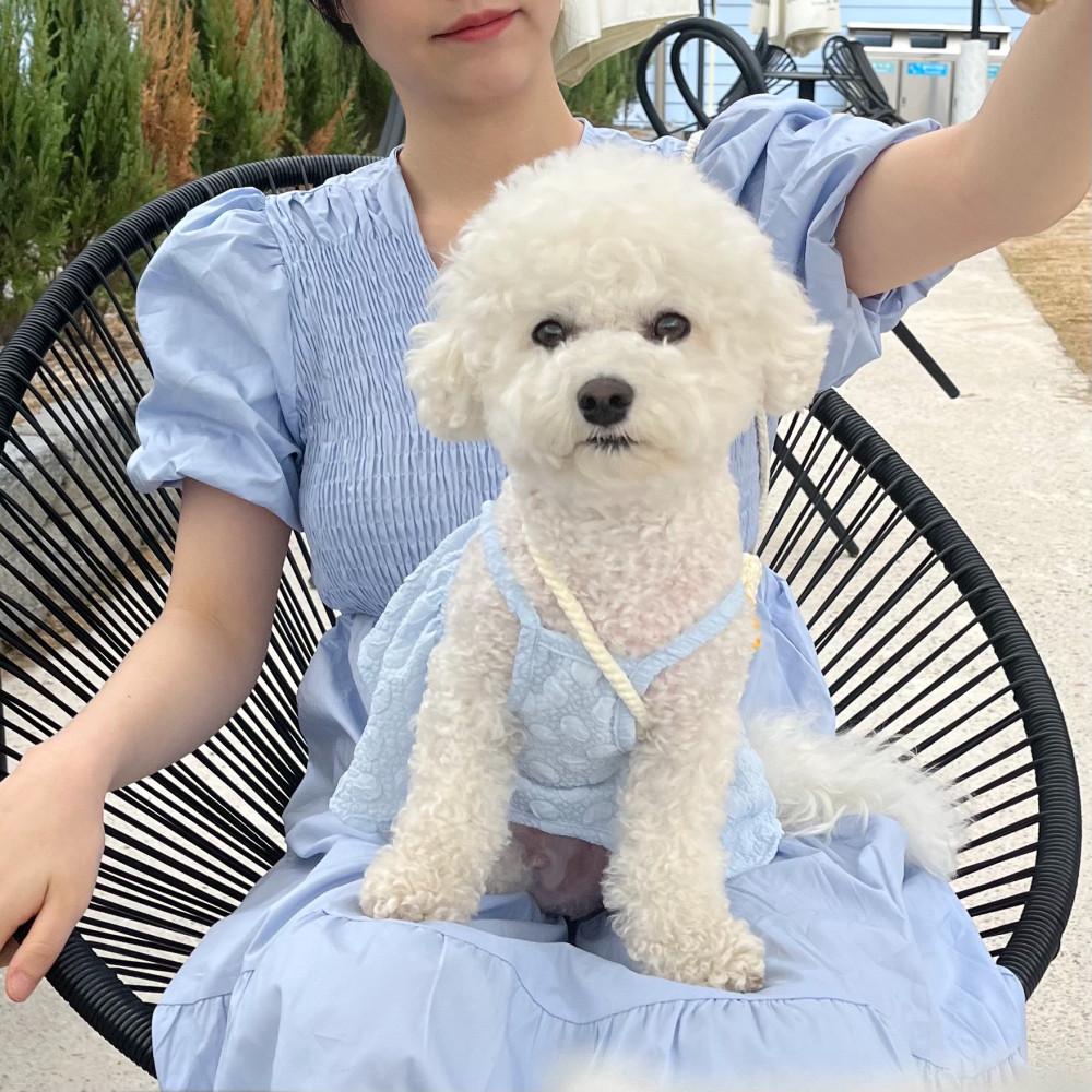 [개플룩] 몽글 버블 스모크 원피스 나시 반팔 / 강아지 커플룩 S-XL