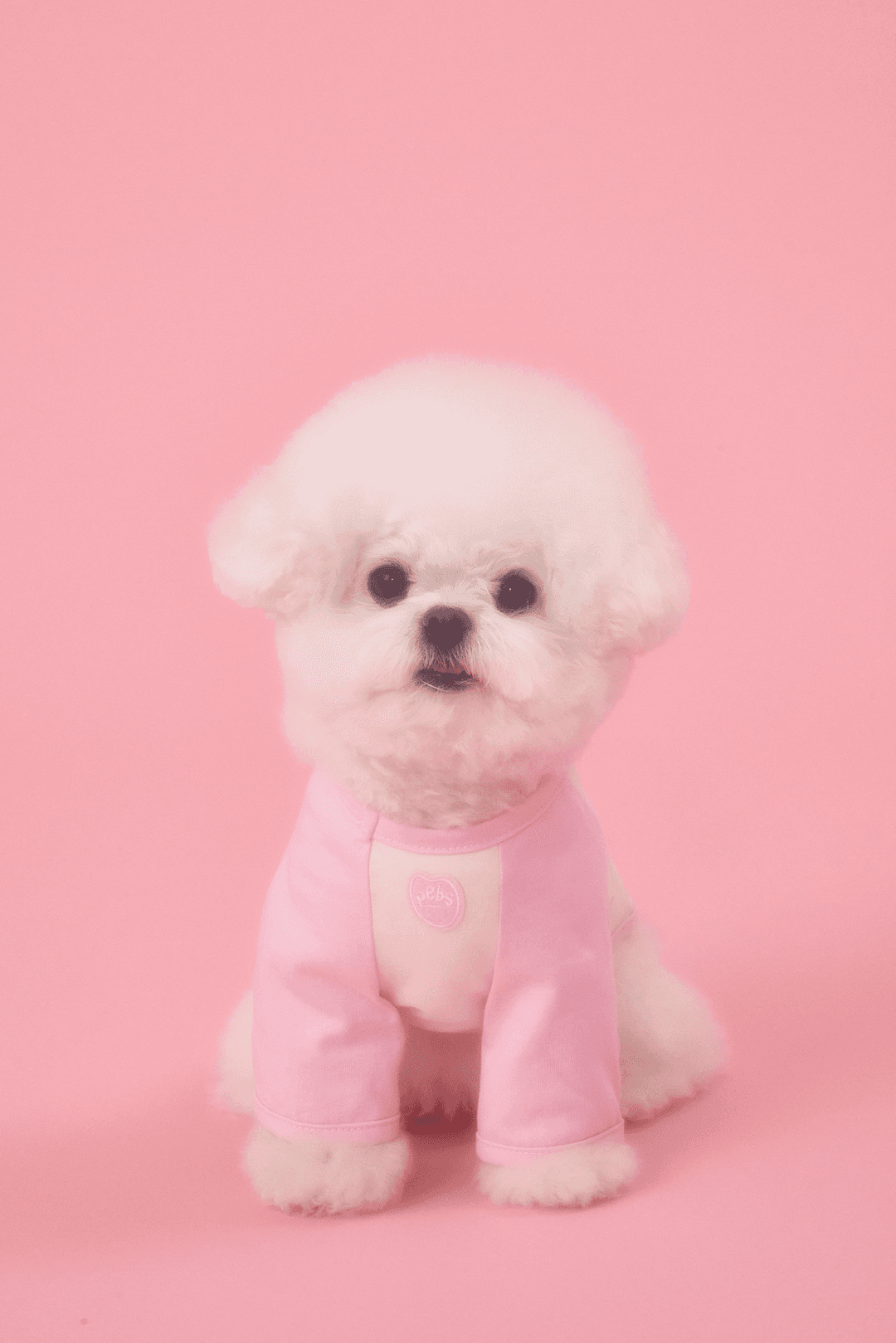 [MABLING X PEBBLES] MIU RAGLAN TEE