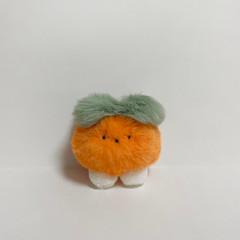 단감이