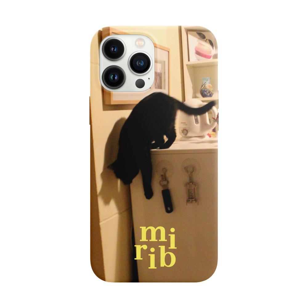 black cat case