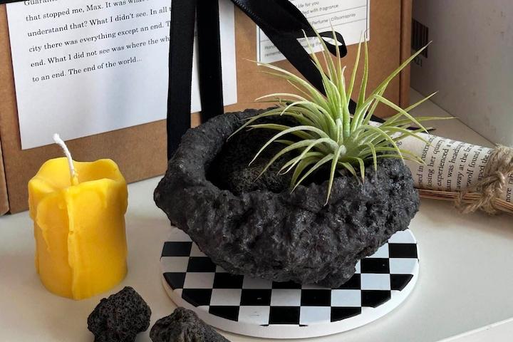 스톤 이오난사 식물 SET(돌화분+식물+화산석) 공기정화 플랜트