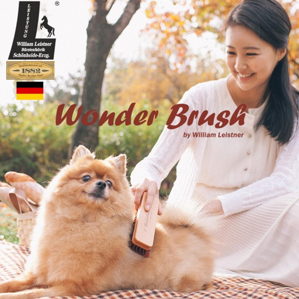 청소용 원더 브러쉬 (반려동물,가정,차량용) [Y]