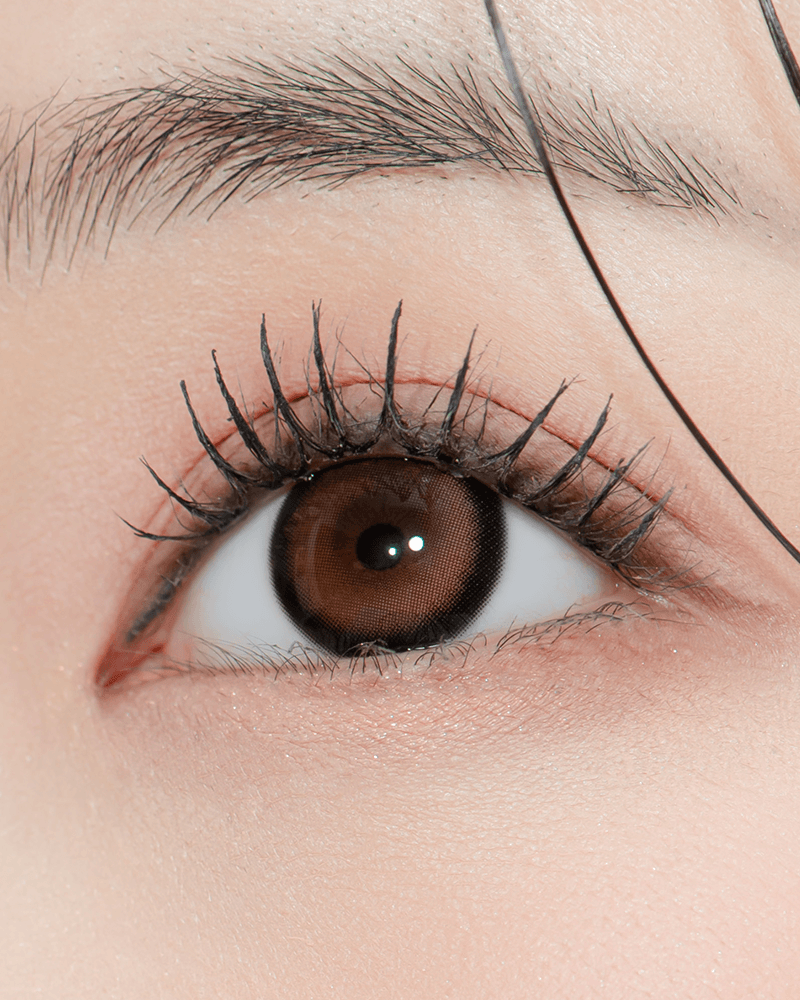 [원데이] 블러 베이직 브라운