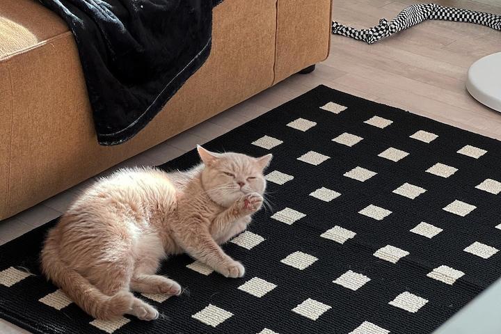 초코칩매트 미니러그 미끄럼방지 현관 침실 베란다 발매트 화장실  Chocochip Mat