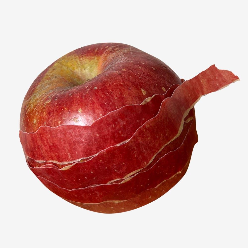 사과껍질 마스킹테이프 Apple peel masking tape