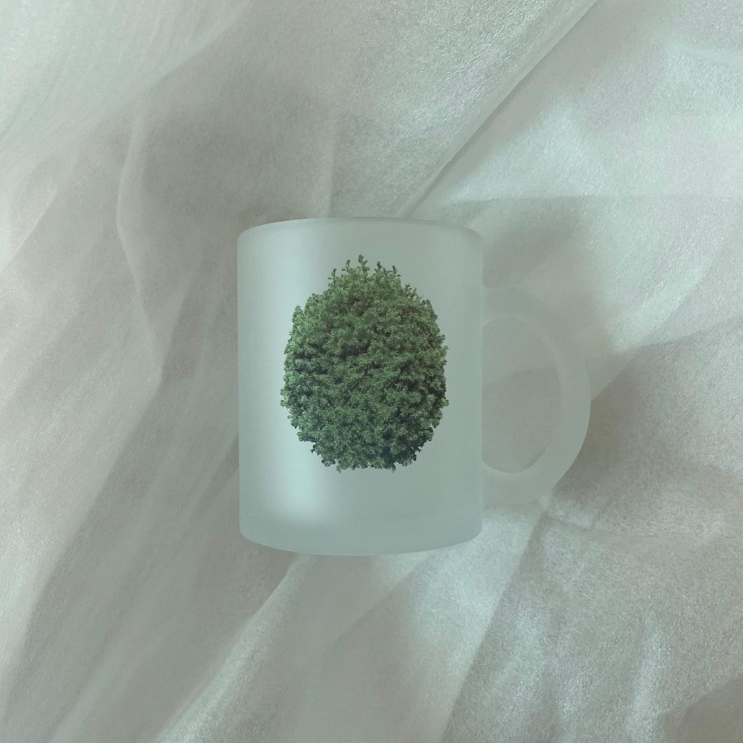 [지놀] Glass mug _ Supul 수풀 머그