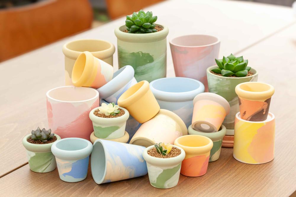 지양하월시아 x 블리스볼 콜라보 수제토분 모듬 감성토분 고급토분 받침