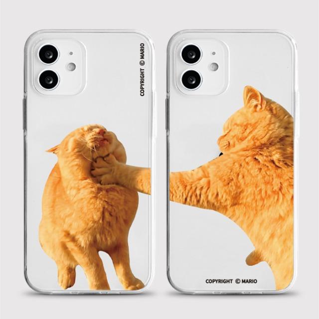 [젤리]커플고양이