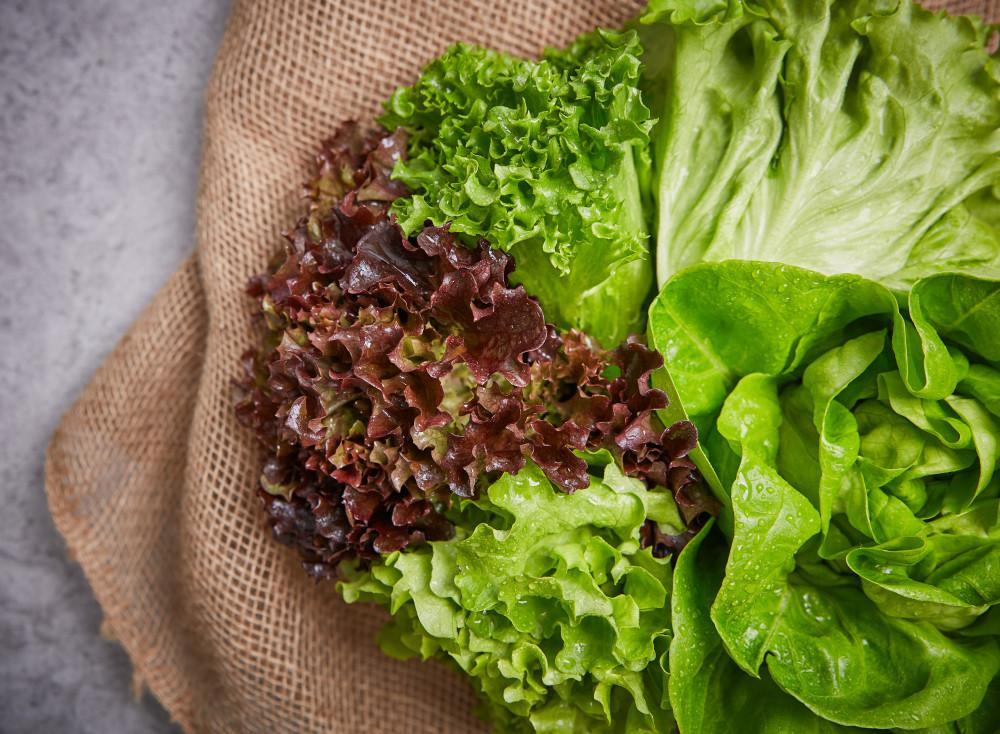 [순차발송] 유러피안 샐러드채소 3종 1kg ﻿(프릴라이즈+미니로메인)+랜덤1종(이자벨or버터헤드레터스or카이피라)