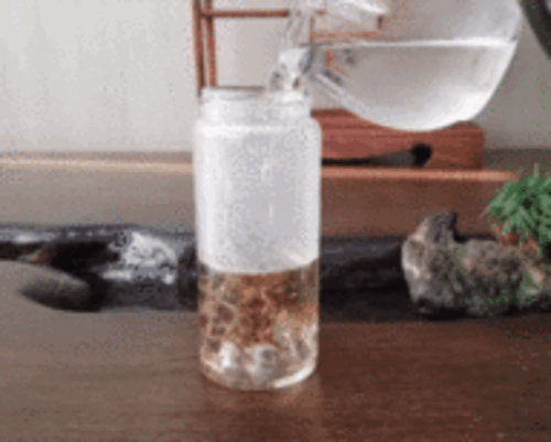 티 마운틴 글래스 텀블러 550ml