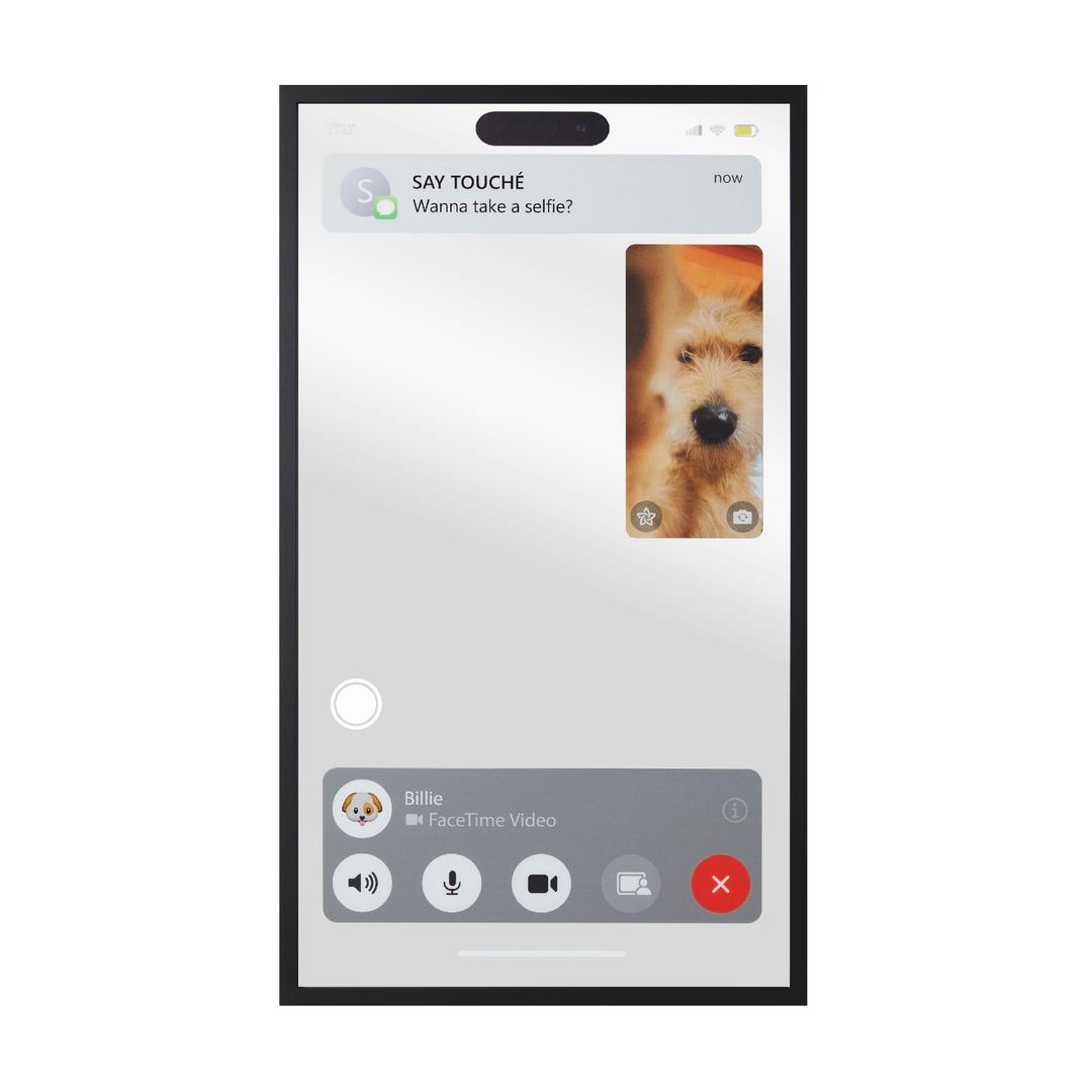 Facetime Mirror
