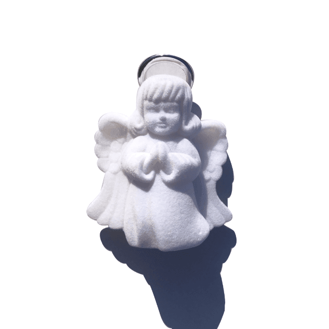ANGEL CASE