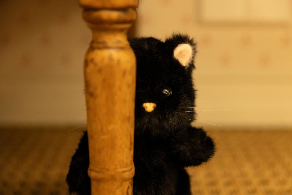 테디테일즈 레나캣 탄냥이