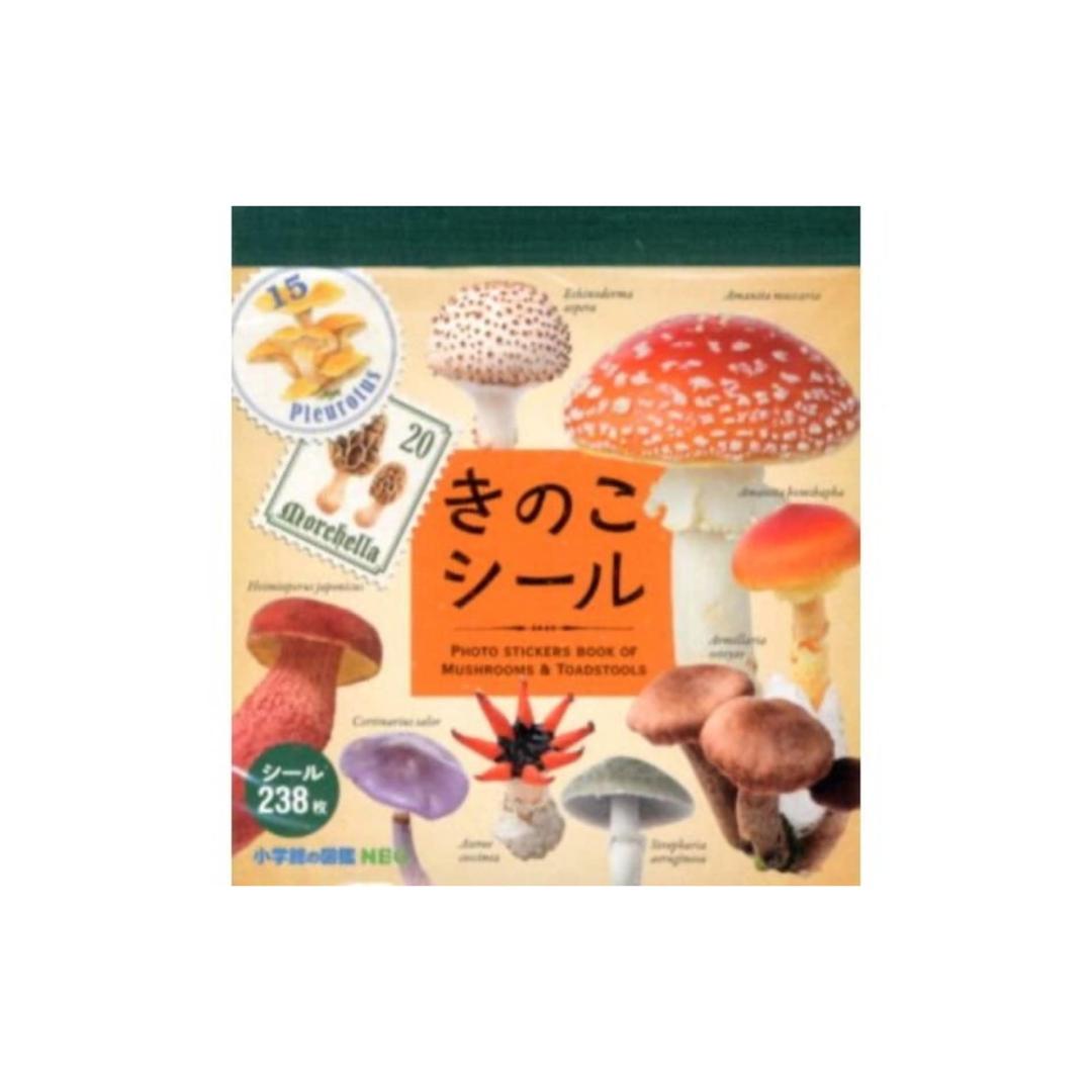 식독불명 버섯 씰 스티커북 (238피스)