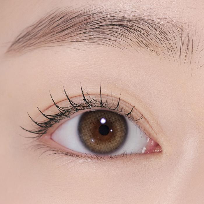 원데이 이슬 생기 브라운