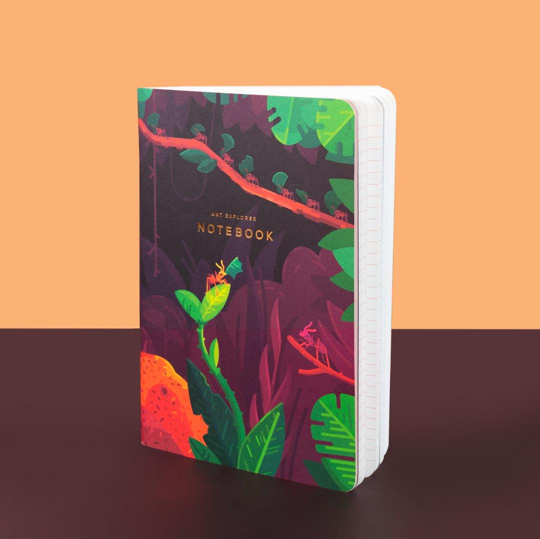 Ant Explorer Notebook