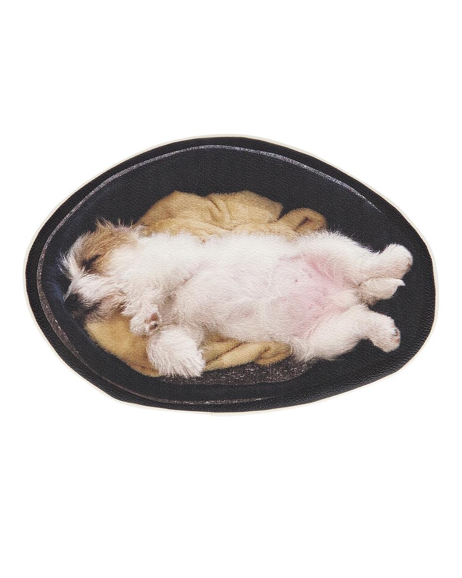 강아지 파우치