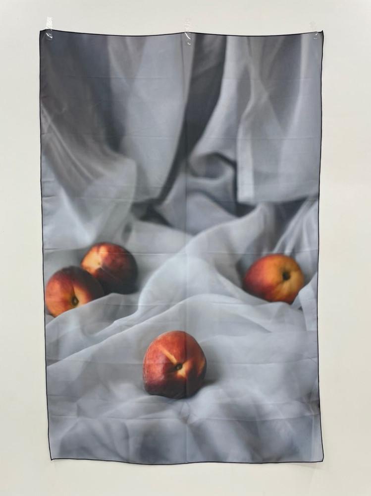 꽃과일 쉬폰 패브릭 포스터