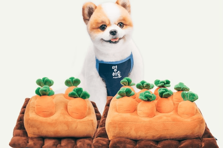 당근밭 노즈워크 강아지 장난감 훈련 인형 놀이기구 소형/대형