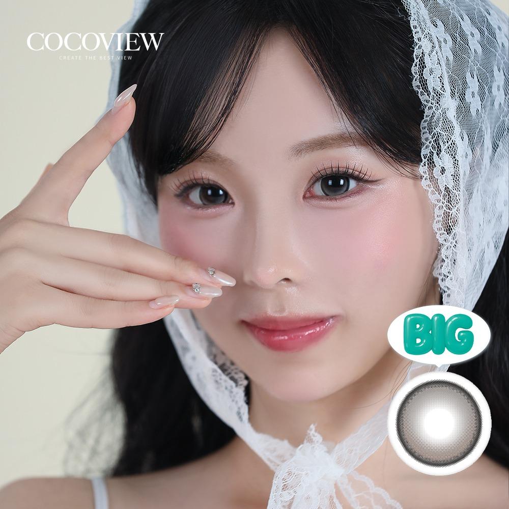 실비아 축고정 브라운