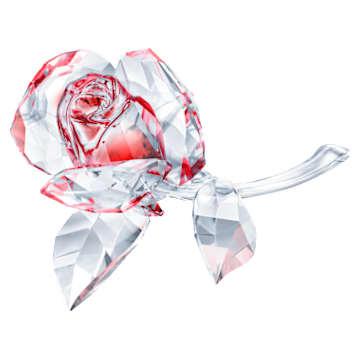 Blossoming Rose, Red