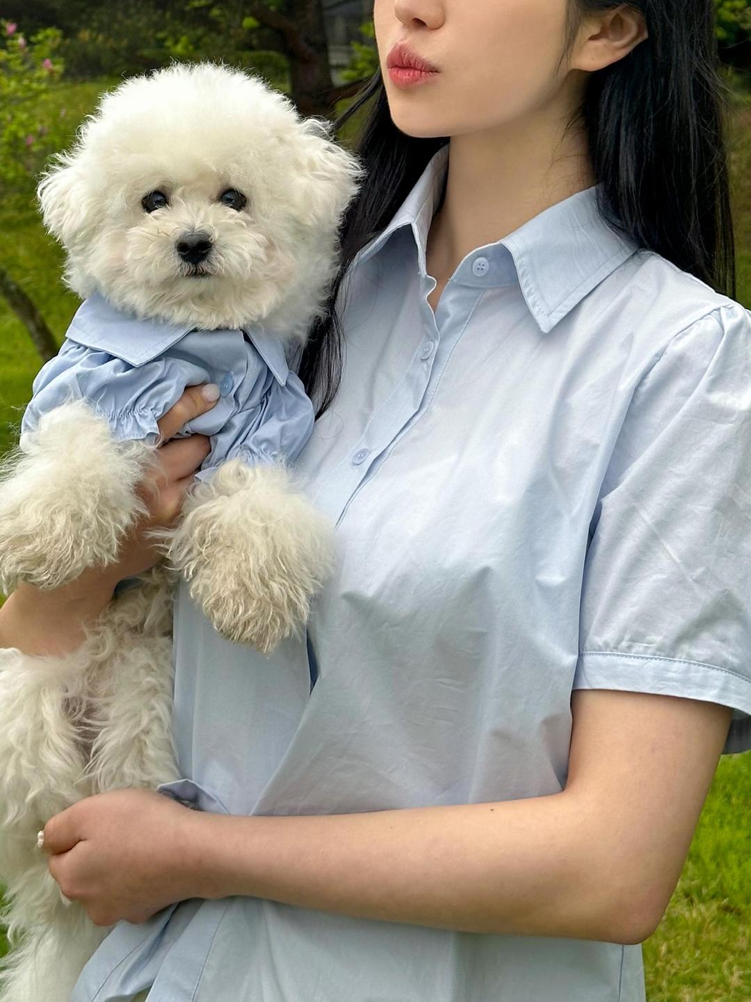 코튼볼스튜디오 (SET상품)코튼볼 셔츠 블라우스 강아지 시밀러룩 개플룩 커플룩 중대형견옷 S - 3XL