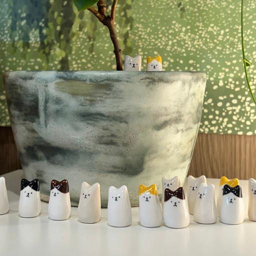 조구만 고양이 인형💘