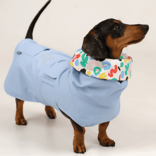 강아지우비 프리미엄 트렌치 레인코트 Sky blue